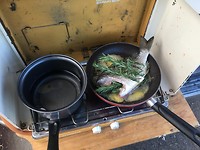 IMG_2941