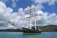 IMG_3185