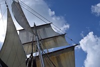 IMG_3307