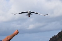 IMG_3355