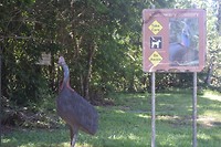 IMG_3399