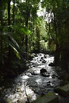 IMG_3401