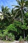 IMG_3416