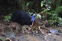 IMG_3431