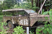 IMG_3453
