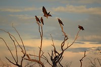 IMG_3470