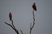 IMG_3484