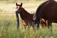 IMG_3503