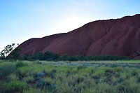 IMG_3557