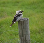 IMG_4324