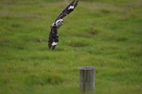 IMG_4329