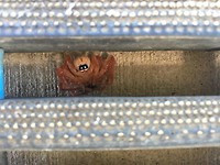 IMG_4372