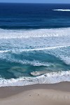 IMG_4485