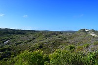 IMG_4488