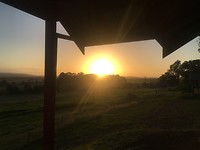 IMG_4507
