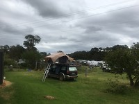 IMG_4554