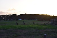 IMG_4564