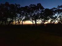 IMG_4667