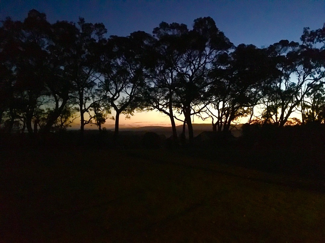 IMG_4667