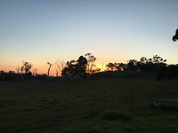 IMG_4673