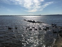 IMG_4739