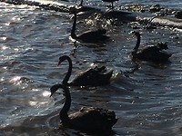 IMG_4740