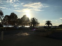 IMG_4784