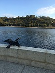 IMG_4788