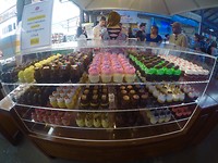 IMG_4800