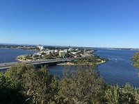 IMG_4833