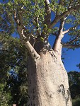 IMG_4847