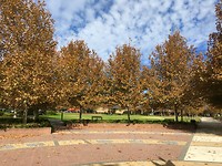 IMG_4884