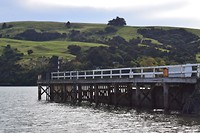 IMG_5078