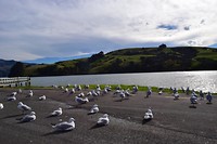 IMG_5081