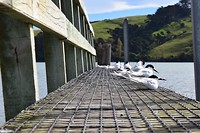 IMG_5084
