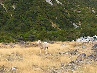 IMG_5181
