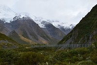 IMG_5393
