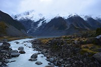 IMG_5406