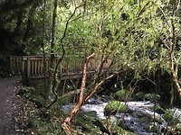 IMG_5613
