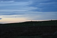 IMG_5620