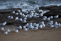 IMG_5641