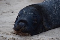 IMG_5646