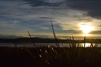 IMG_5662