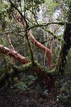 IMG_5685