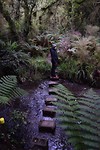 IMG_5688