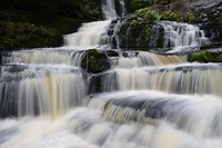 IMG_5709