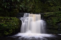 IMG_5721