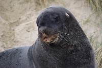 IMG_5747