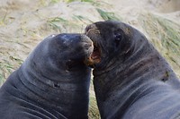 IMG_5763