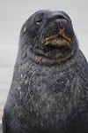 IMG_5784